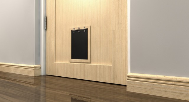 Cat Flap Installation Twickenham, St. Margarets, TW1, TW2