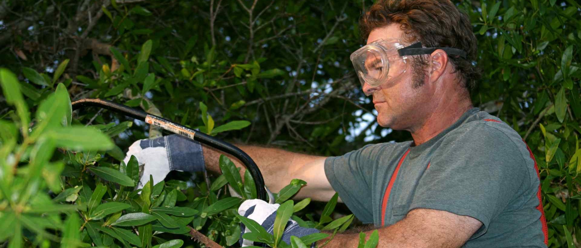 garden clearance TW1, TW2